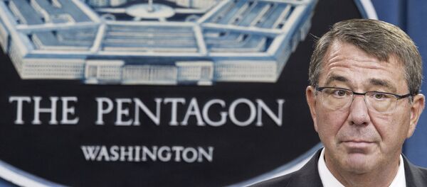 Ashton Carter, secretario de Defensa de EEUU - Sputnik Mundo