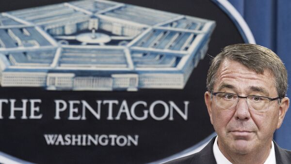 Ashton Carter, secretario de Defensa de EEUU - Sputnik Mundo