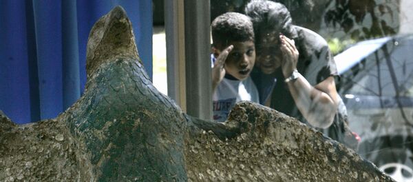 Águila de bronce nazi en Uruguay (archivo) - Sputnik Mundo