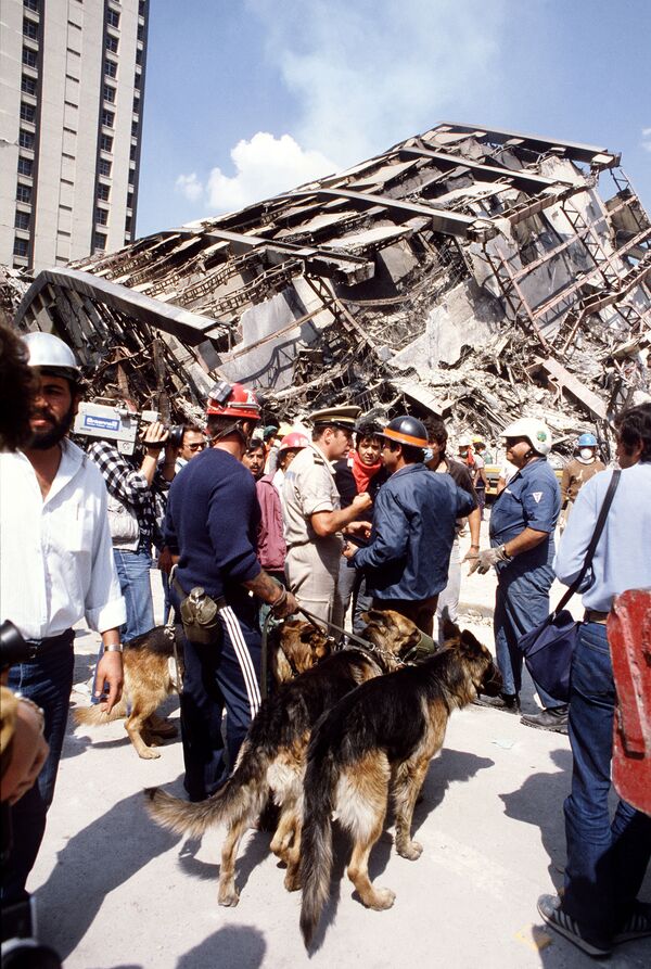 Las consecuencias del terremoto en México, 1985 - Sputnik Mundo