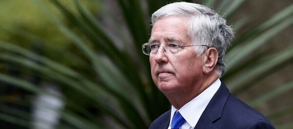 Michael Fallon, ministro británico de Defensa Michael Fallon, ministro británico de Defensa - Sputnik Mundo