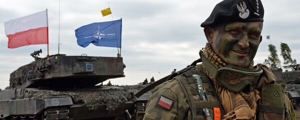 Polish tank comander smiles after a NATO Response Force (NRF) exercise in Zagan, southwest Poland on June 18, 2015. - Sputnik Mundo