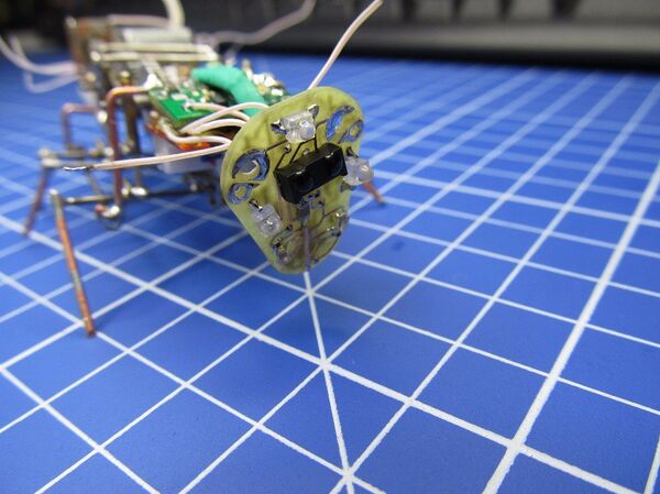 Сucaracha-robot Сucaracha-robot - Sputnik Mundo