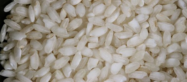 Arroz (archivo) - Sputnik Mundo
