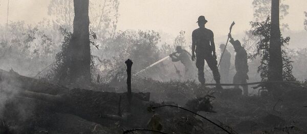 Policía de Indonesia durante los incendios forestrales en Kampar - Sputnik Mundo