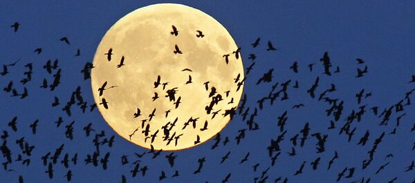 Superluna - Sputnik Mundo