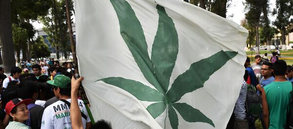Gente protesta por legalización de marihuana - Sputnik Mundo