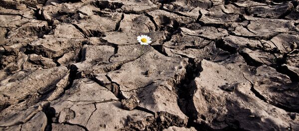 Cauce seco - Sputnik Mundo