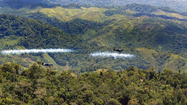 Fumigación aérea de glifosato contra la coca - Sputnik Mundo