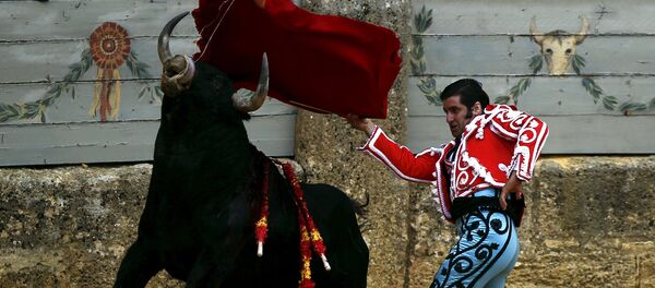 Corrida de toros en España - Sputnik Mundo