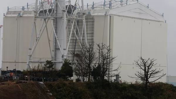 Retiran la cúpula protectora sobre Fukushima - Sputnik Mundo