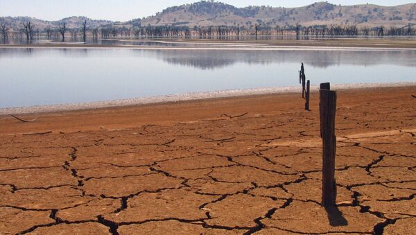 Efectos del cambio climático (imagen referencial) - Sputnik Mundo