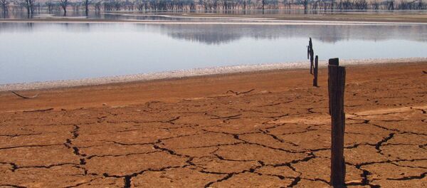 Cambio climático - Sputnik Mundo