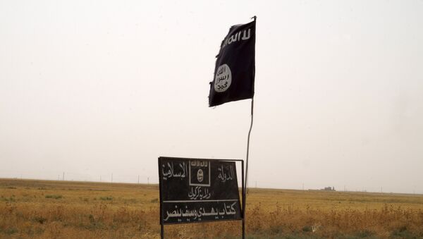 Bandera del grupo terrorista Daesh - Sputnik Mundo