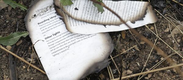 Lugar del sinestro del Boeing MH-17 - Sputnik Mundo