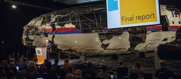 Tjibbe Joustra, presidente del Consejo de Seguridad de Holanda, presenta el informe sobre la catástrofe (Archivo) - Sputnik Mundo