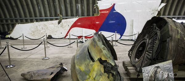 Informe técnico definitivo de la catástrofe del MH17 - Sputnik Mundo
