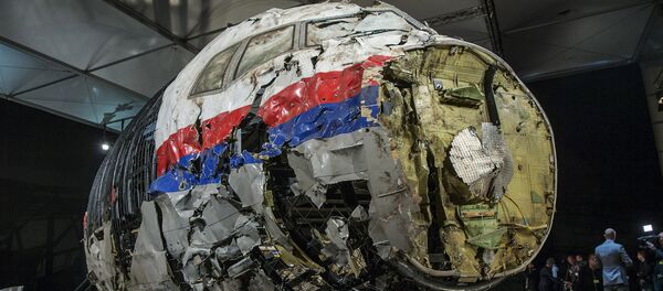 Informe técnico de la catástrofe del MH17 - Sputnik Mundo