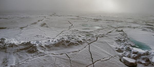 Ártico - Sputnik Mundo