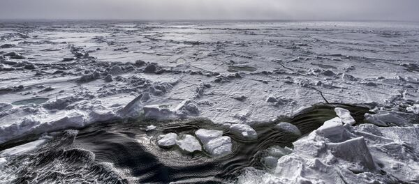 El Ártico - Sputnik Mundo