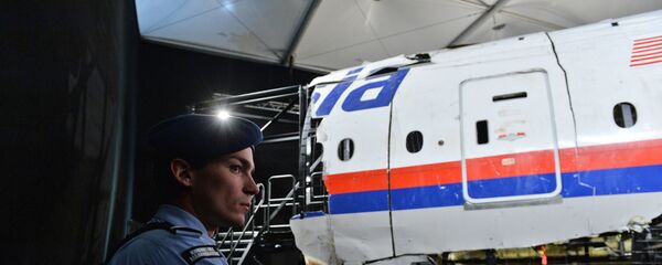 Parte del avión que realizaba el vuelo MH17 de Malaysia Airlines - Sputnik Mundo