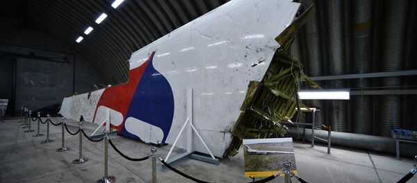 Parte del avión que realizaba el vuelo MH17 de Malaysia Airlines - Sputnik Mundo