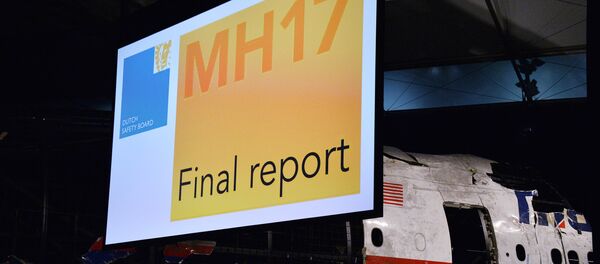 Informe técnico definitivo de la catástrofe del MH17 - Sputnik Mundo