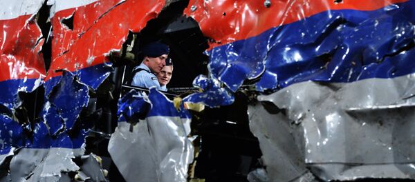 Restos del avión MH17 siniestrado en el este de Ucrania - Sputnik Mundo