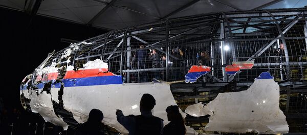 Доклад Совета безопасности Нидерландов по причинам крушения Boeing 777 - Sputnik Mundo