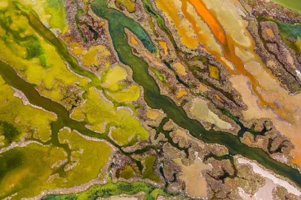 Naturaleza salvaje a través del prisma de los mejores fotógrafos del mundo Naturaleza salvaje a través del prisma de los mejores fotógrafos del mundo - Sputnik Mundo