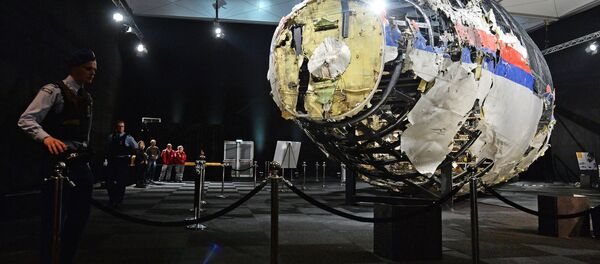 Informe técnico de la catástrofe del MH17 - Sputnik Mundo