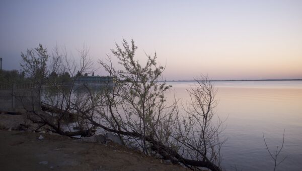 Zatoka, la provincia de Odesa - Sputnik Mundo