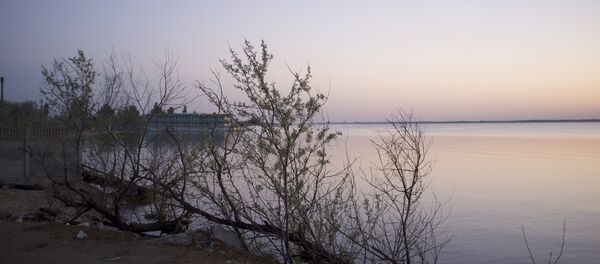 Zatoka, la provincia de Odesa - Sputnik Mundo