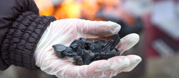 Destrucción de drogas - Sputnik Mundo