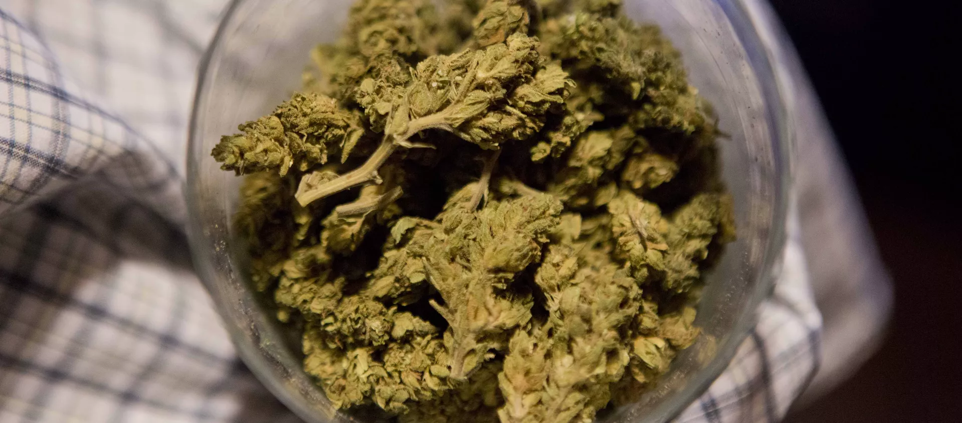 Marihuana Marihuana - Sputnik Mundo, 1920, 01.12.2020
