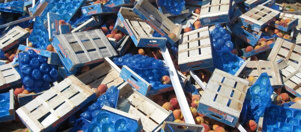 Destrucción de alimentos embargados Destrucción de alimentos embargados - Sputnik Mundo