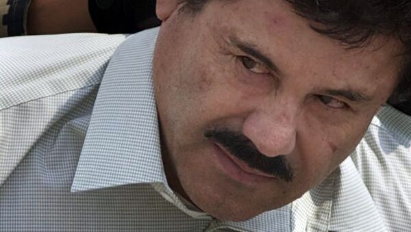 Joaquín El Chapo Guzmán - Sputnik Mundo