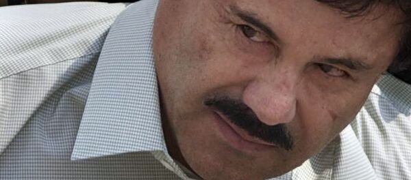 Joaquín El Chapo Guzmán - Sputnik Mundo