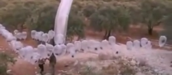 ¿El Estado Islámico usa condones para abatir aviones rusos? - Sputnik Mundo