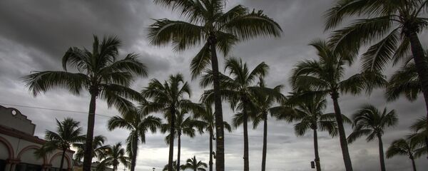 Tormenta tropical (Archivo) Tormenta tropical (Archivo) - Sputnik Mundo