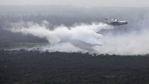 Situación en Sumatra - Sputnik Mundo