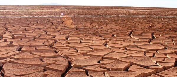 Sequía - Sputnik Mundo