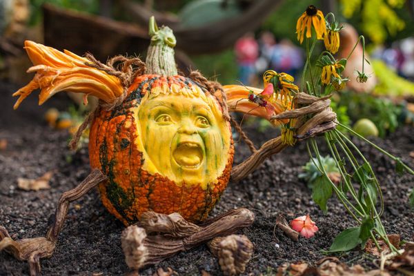 Obras de arte talladas en calabaza - Sputnik Mundo