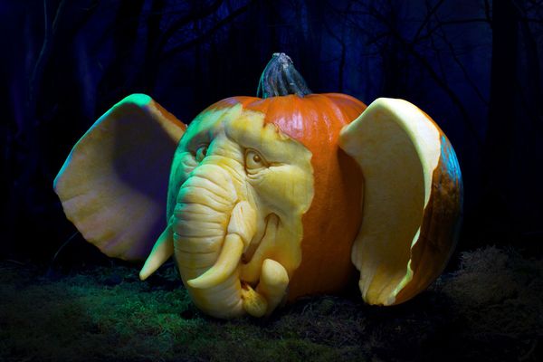 Obras de arte talladas en calabaza - Sputnik Mundo