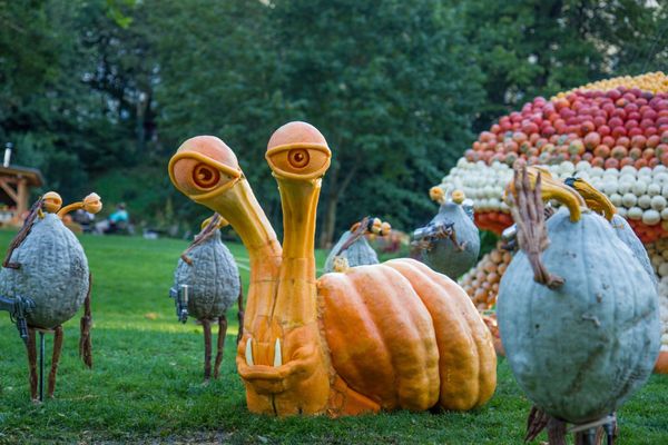 Obras de arte talladas en calabaza - Sputnik Mundo