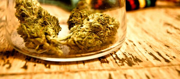 Marihuana - Sputnik Mundo