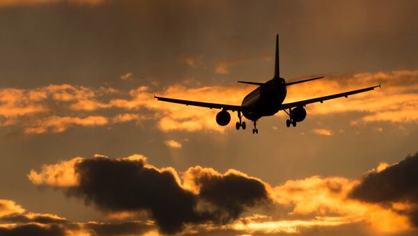 Un avión A-320 - Sputnik Mundo