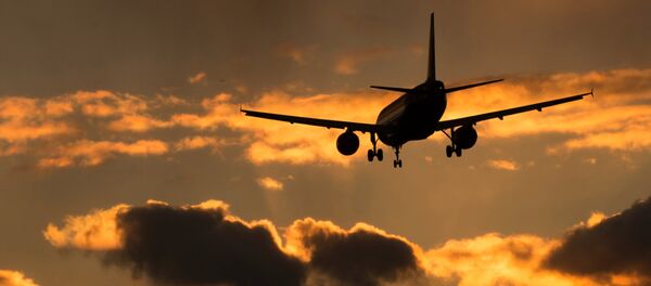 Un avión A-320 - Sputnik Mundo
