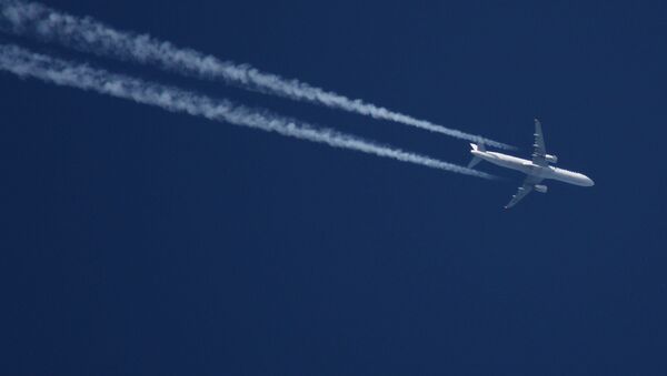 Un avión Un avión - Sputnik Mundo