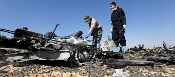 Investigadores rusos examinan los restos del avión ruso Airbus-321 siniestrado en Egipto - Sputnik Mundo